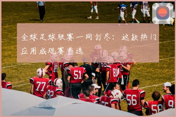 全球足球联赛一网打尽:这款热门应用成观赛首选