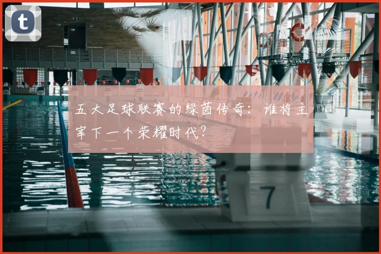 五大足球联赛的绿茵传奇：谁将主宰下一个荣耀时代？